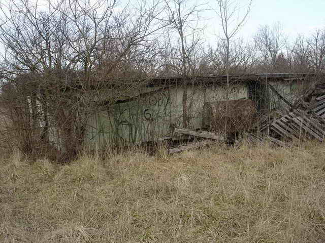 Speedway Auto Theatre - 2006 Photo (newer photo)